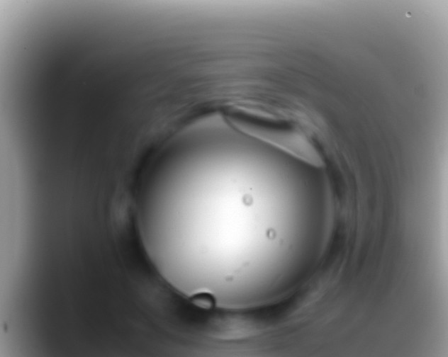 X0000088660503200706011242