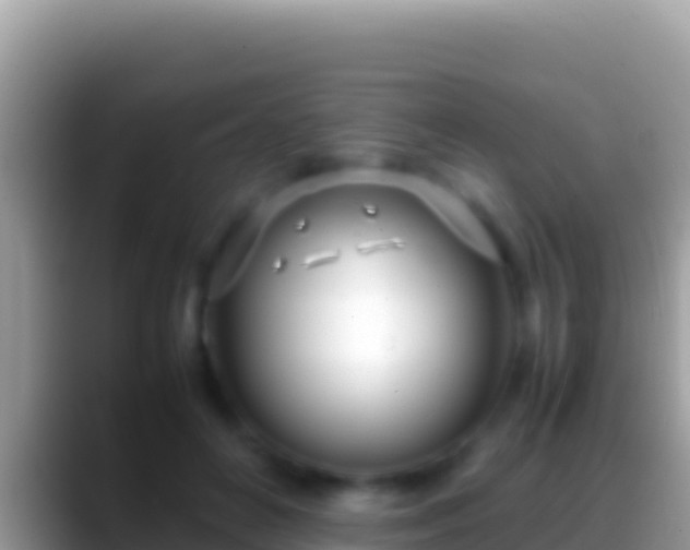 X0000088660504200706011242