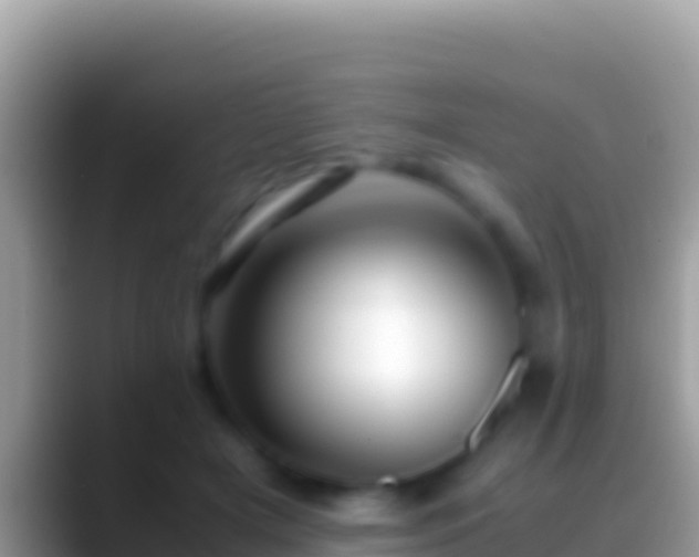 X0000088660505200706011242