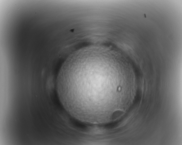 X0000088660511200706011242