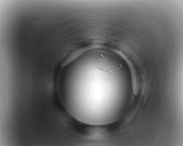 X0000088660512200706011242