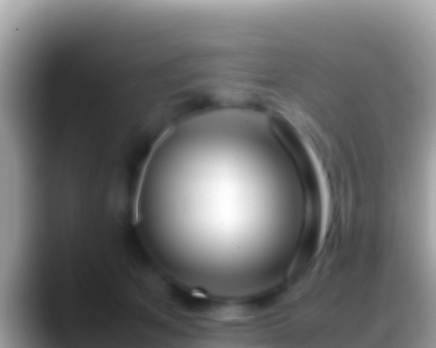 X0000088660513200706011242