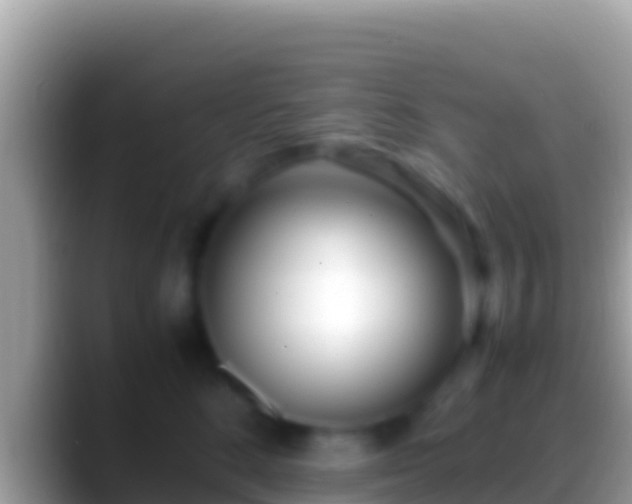 X0000088660520200706011242