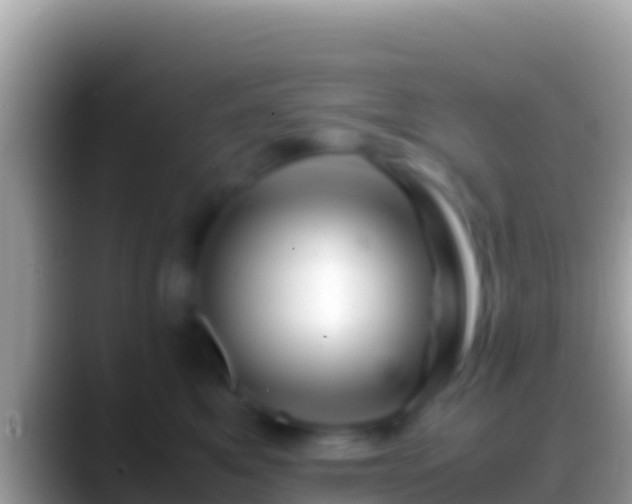 X0000088660521200706011242