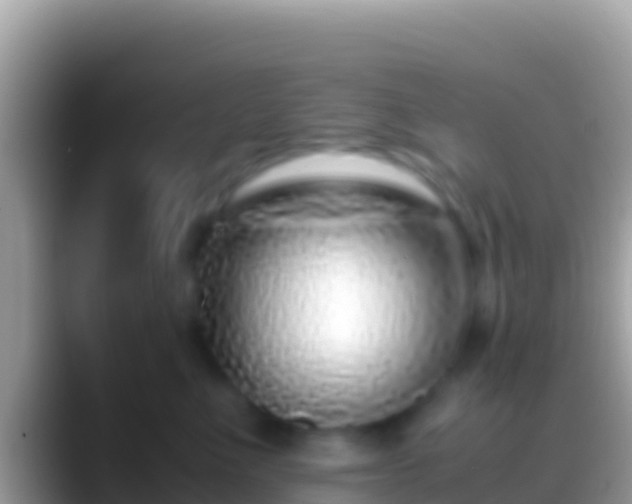 X0000088660523200706011242