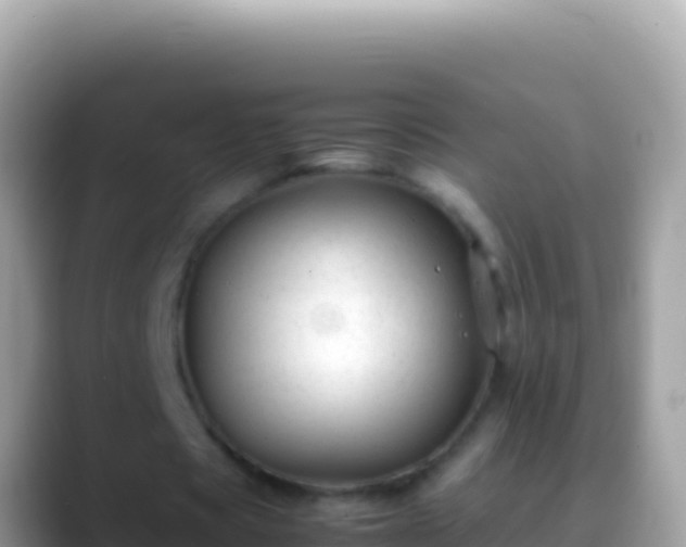 X0000088660529200706011241