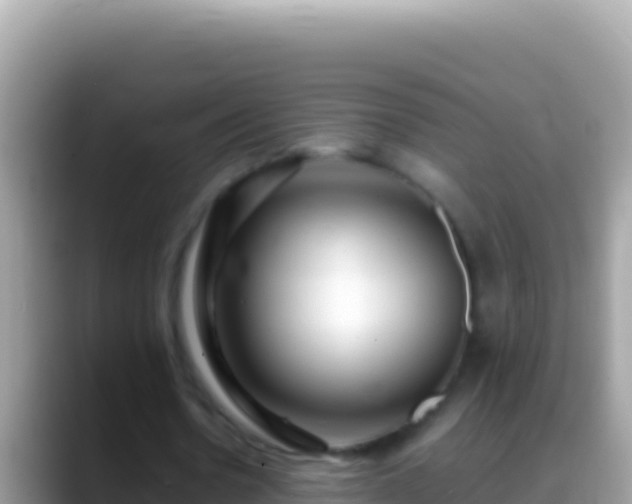 X0000088660530200706011241