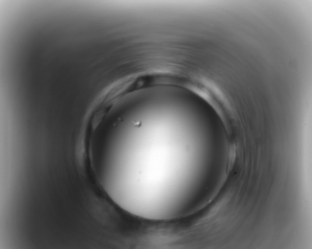 X0000088660532200706011241