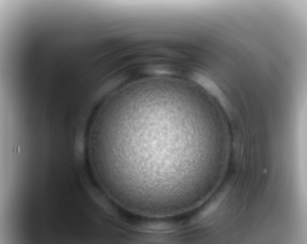 X0000088660533200706011241