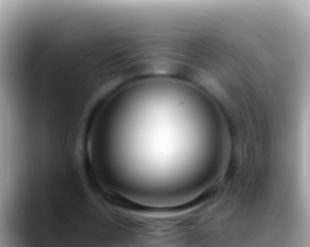 X0000088660536200706011241