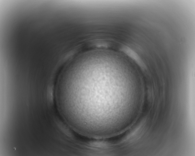 X0000088660537200706011241