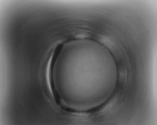 X0000088660539200706011241