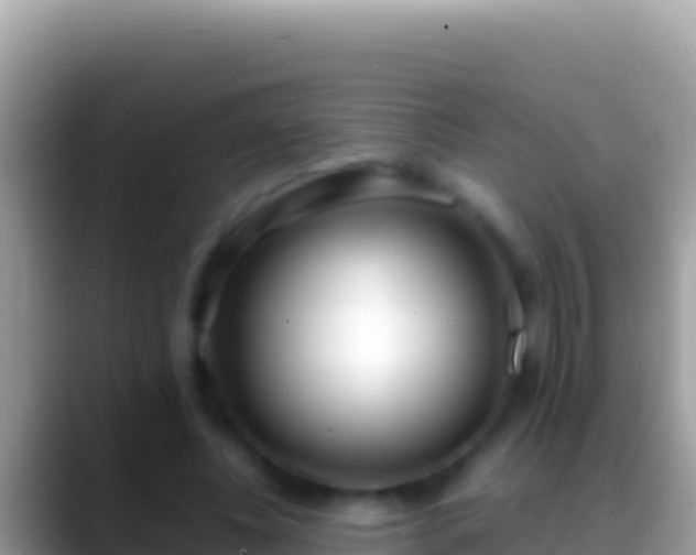 X0000088660540200706011241