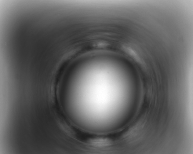 X0000088660543200706011241