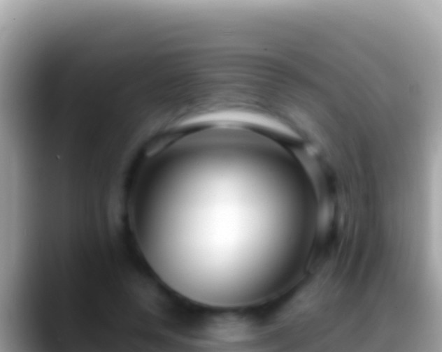 X0000088660544200706011241