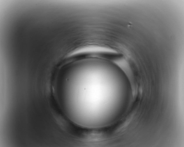 X0000088660546200706011241