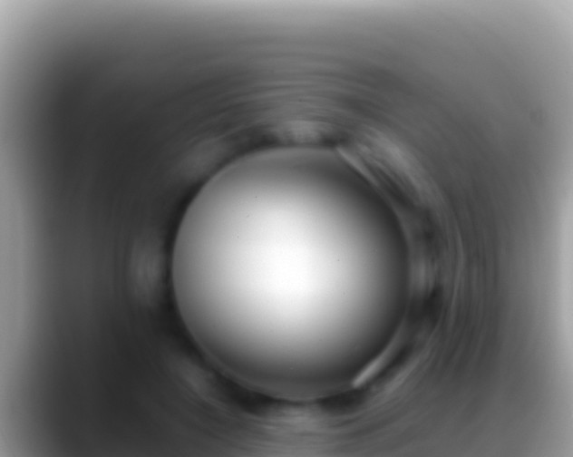 X0000088660548200706011241