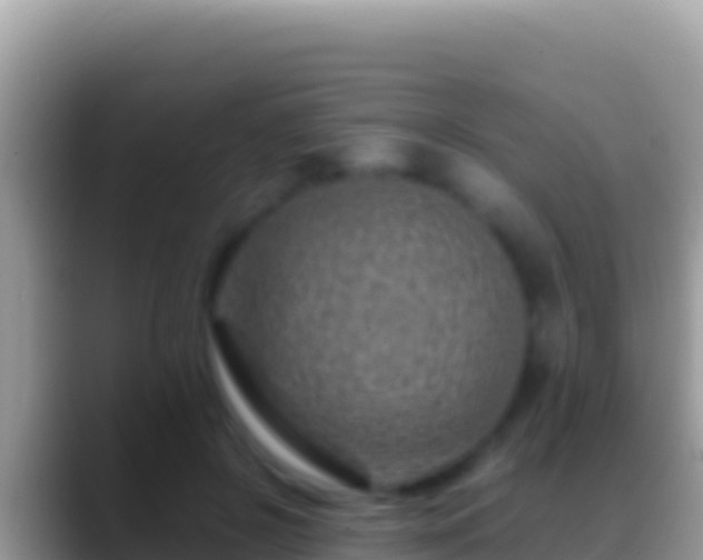 X0000088660550200706011242