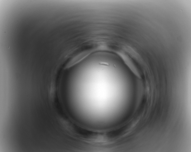 X0000088660552200706011242