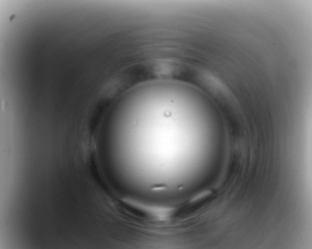 X0000088660554200706011242