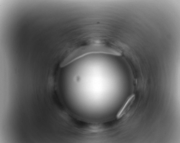 X0000088660560200706011242