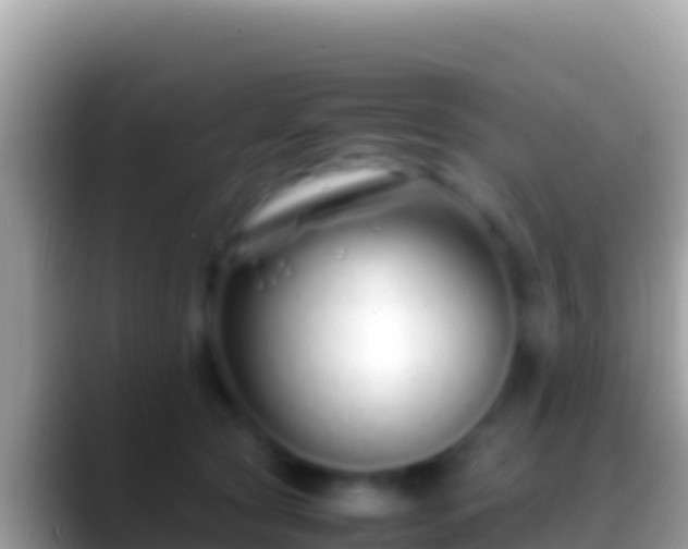 X0000088660561200706011242