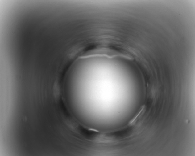 X0000088660568200706011242