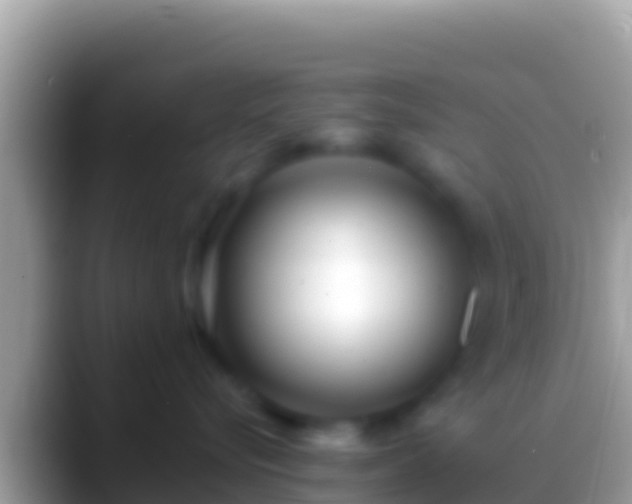 X0000088660576200706011242