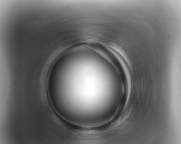 X0000088660577200706011241