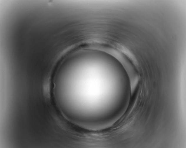 X0000088660580200706011241