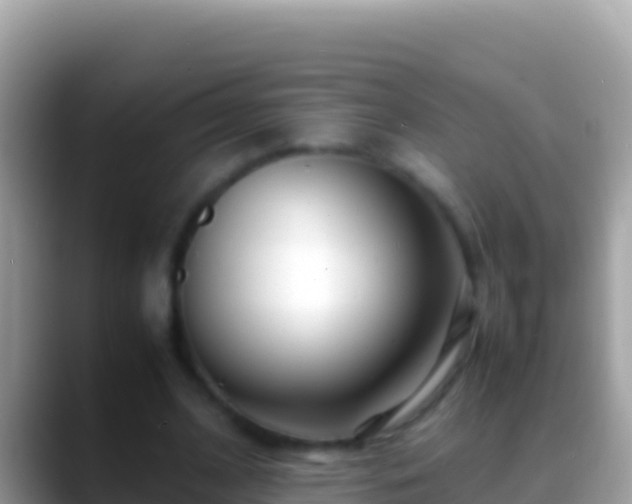 X0000088660584200706011241