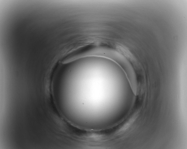 X0000088660585200706011241