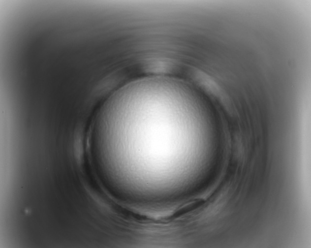 X0000088660586200706011241