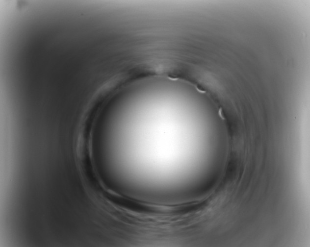 X0000088660587200706011241