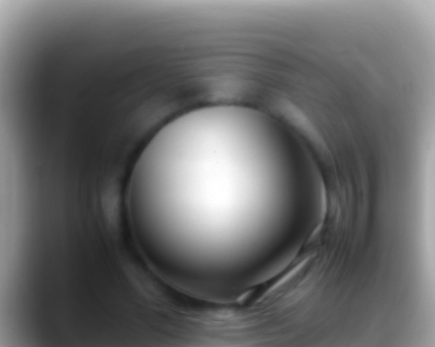 X0000088660588200706011241