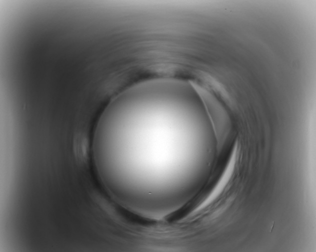 X0000088660589200706011241