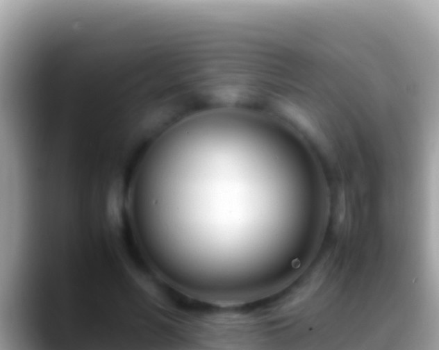 X0000088660590200706011241