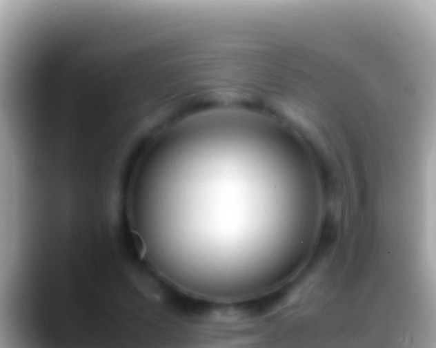 X0000088660591200706011241