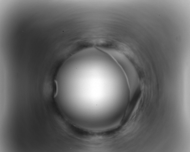 X0000088660593200706011241