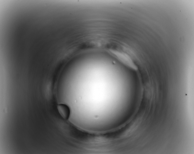 X0000088660594200706011241