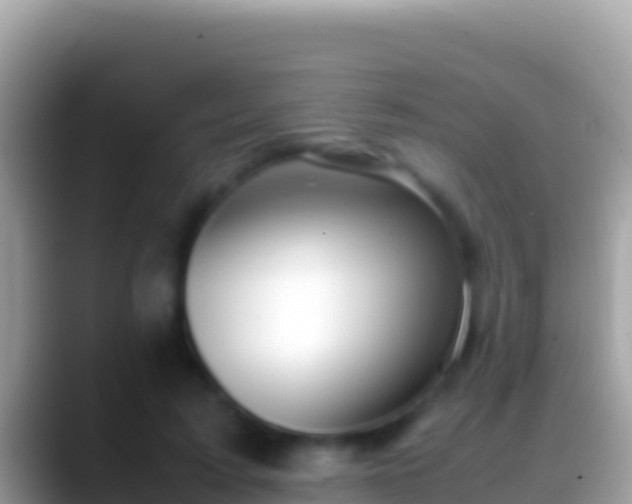 X0000088660595200706011241