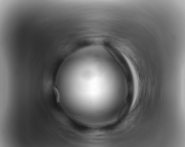 X0000088660597200706011241