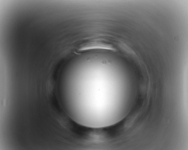 X0000088660603200706011241