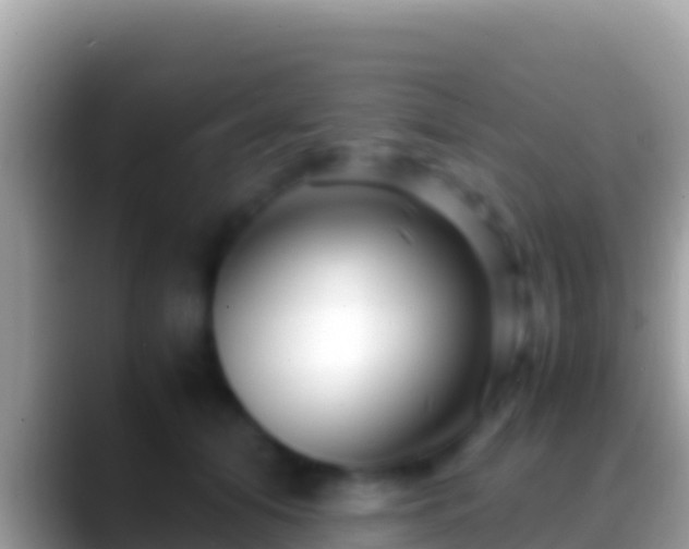 X0000088660608200706011241