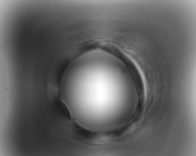 X0000088660613200706011241