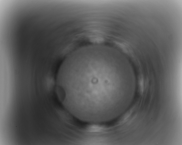 X0000088660614200706011241