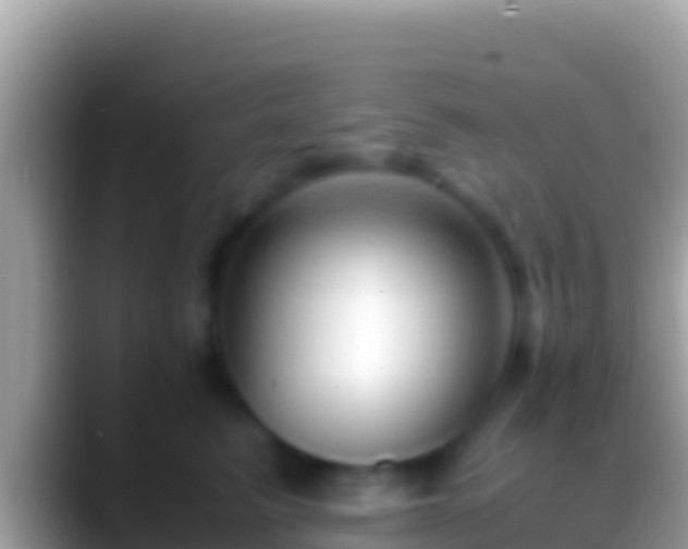 X0000088660615200706011241