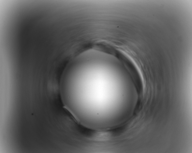 X0000088660617200706011241