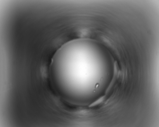 X0000088660620200706011241