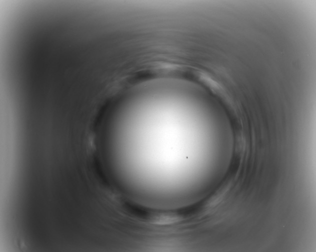 X0000088660621200706011241